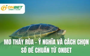 Mơ Thấy Rùa – Ý Nghĩa Và Cách Chọn Số Đề Chuẩn Từ ONBET